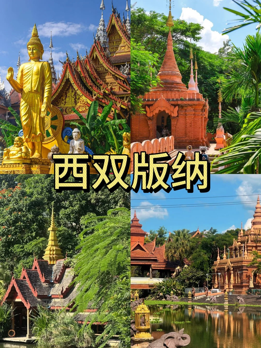 定制旅行 云南旅游