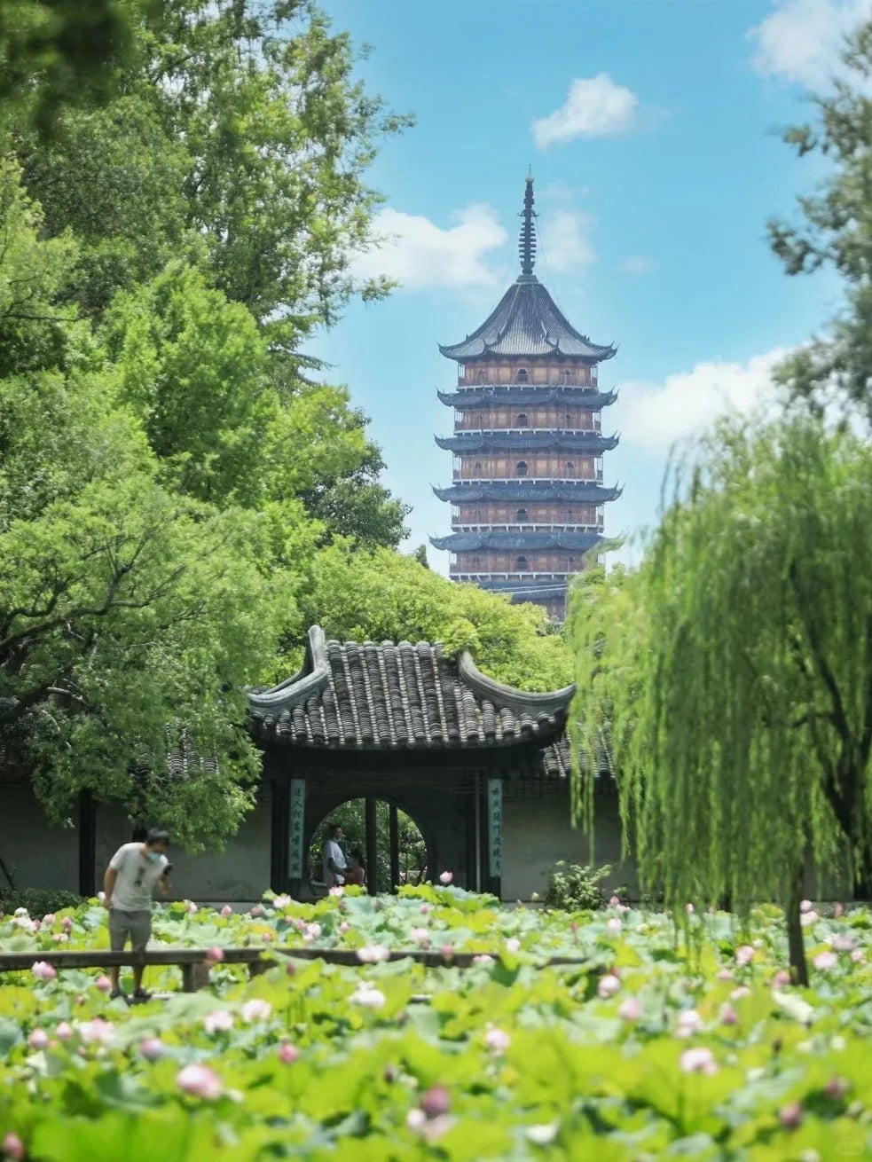 定制旅行 江浙沪旅游