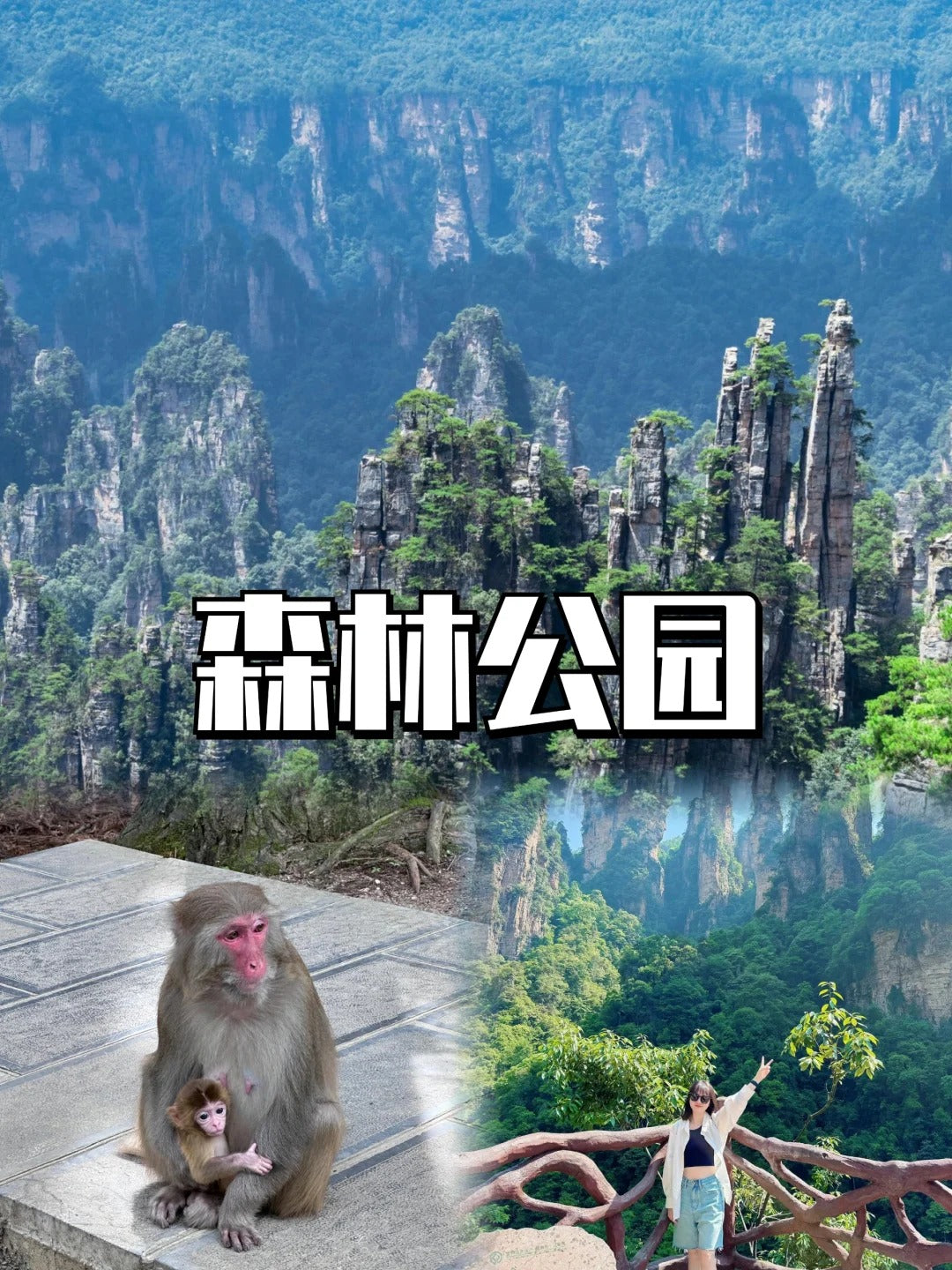 定制旅行 湖南旅游